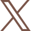 X icon